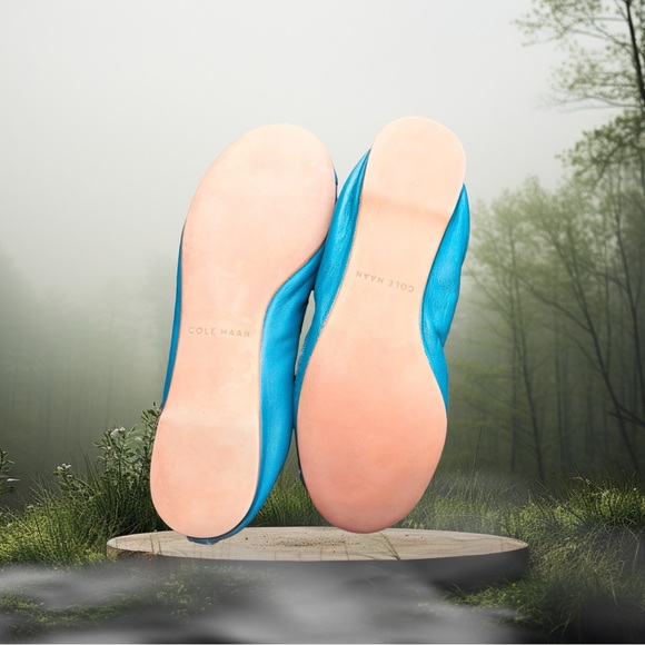 COLE HAAN - Eldridge Ballet Flats, tone on tone Teal, Size: 8 - Picture 2 of 14